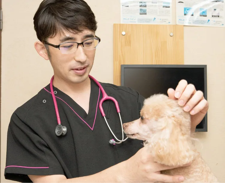 なぎの木どうぶつ病院